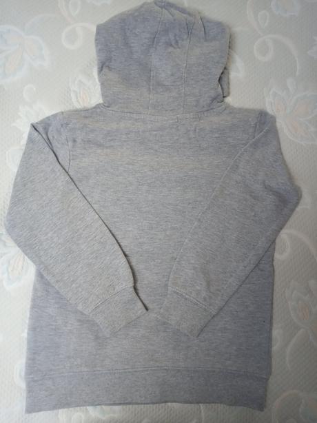 Mikina planes, disney,110