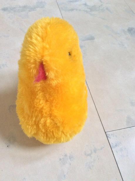 Plyšová kačička,