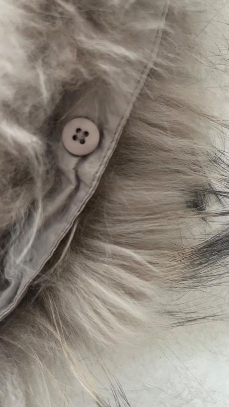 Liujo pravá líška, liu jo