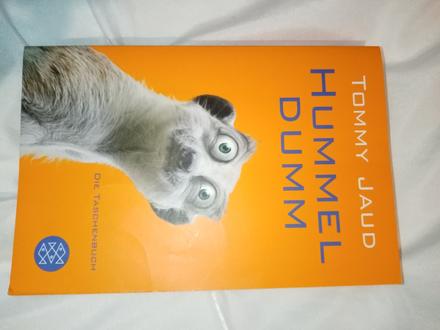 Tommy jaud - hummel dumm,