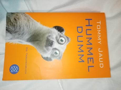 Tommy jaud - hummel dumm, 