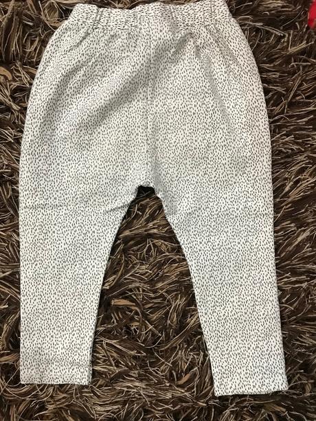 Bodkované pudláče, zara,92