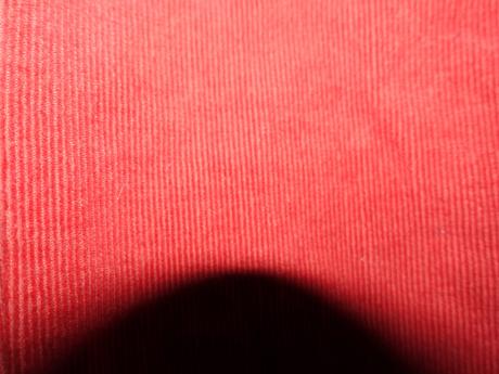 Mencestraciky pocopiano, 140