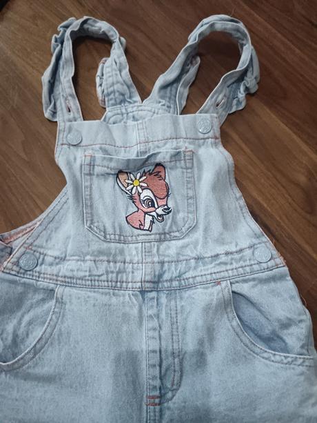 Rifle na traky, disney,128