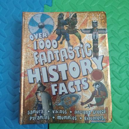 Over 1000 fantastic history facts,