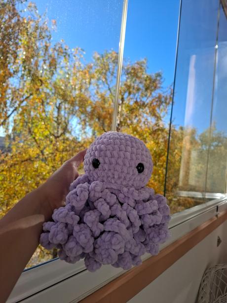 Háčkovaná chobotnička, 