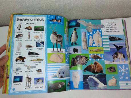 Toddler hide and seek,