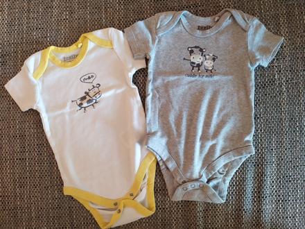 Body na leto, lupilu,80