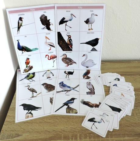 Karty zvieratá-vtáky pdf formát, 