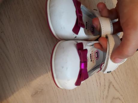 Poltopánky, lasocki,22