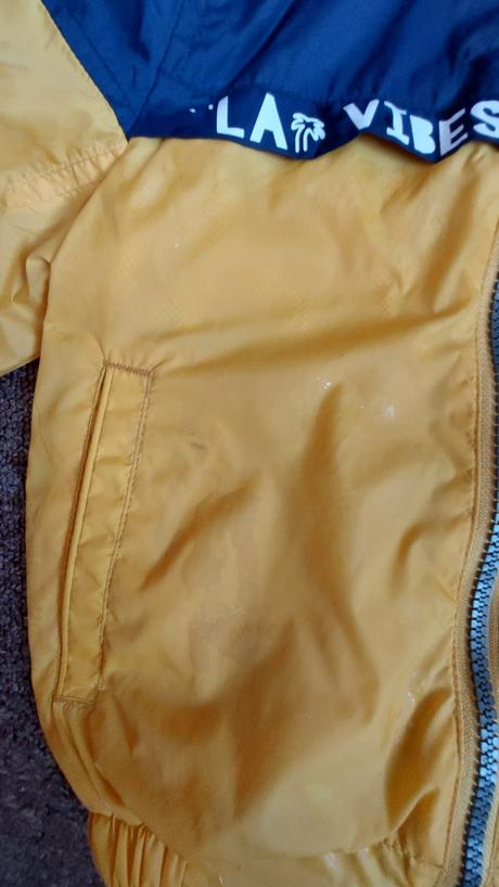 Vetrovka, palomino,92