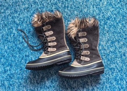 Snehule sorel, sorel,38