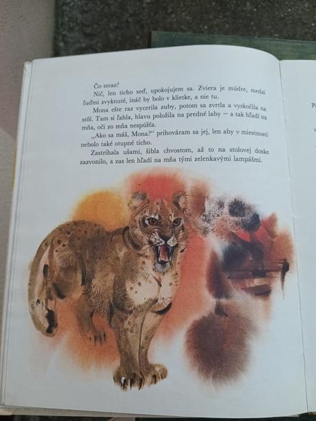 Ako som krstil medveďa, 