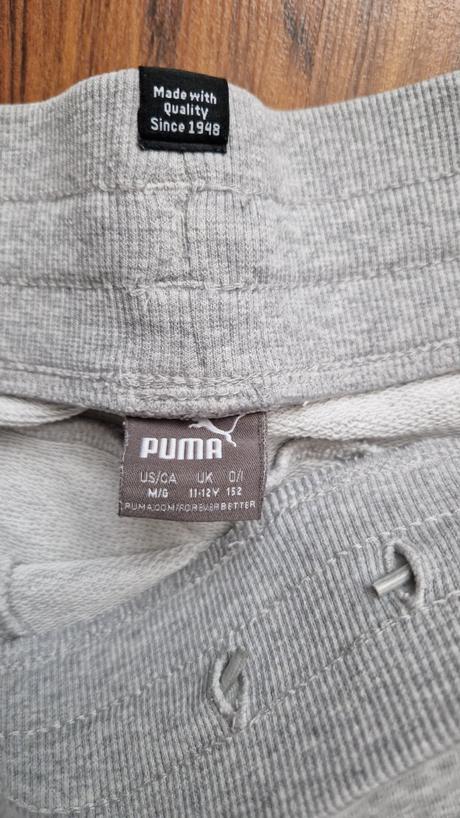 Kratasy, puma,152