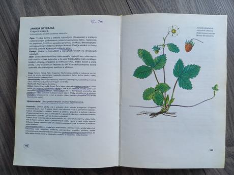 Malý atlas liečivých rastlín, 