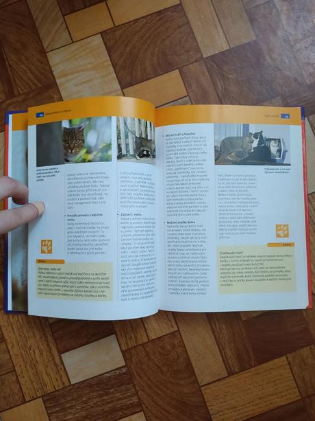 Život s kočkou - denise seidlová, 