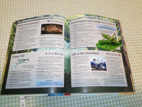 8000 amazing things you should know au21,