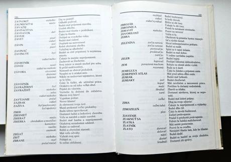 Kniha snár, r. 1990, ela brentová,