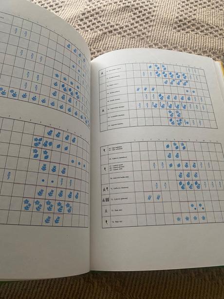 Zázrak menom fytoterapia liečivé byliny,