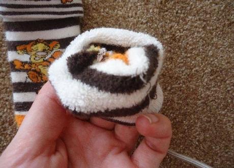 Chutnučké teplé froté ponožky macko pú s tigrom, disney,74