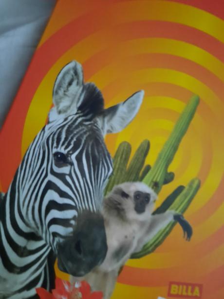 Kniha o zvieratkach,