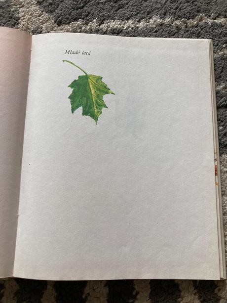 Lucka a klávesy - pavla kováčová (1989), 