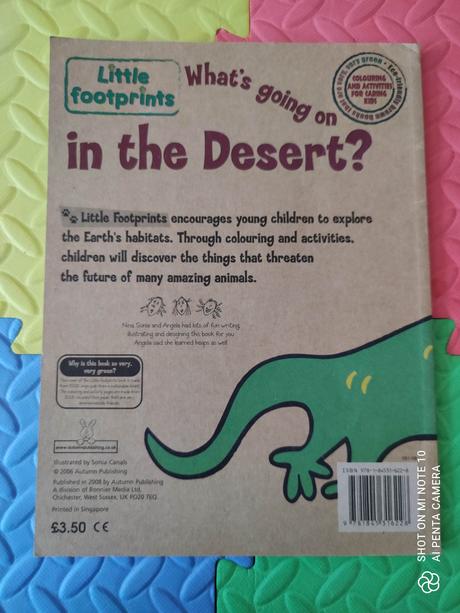 What is going on in the desert - p,