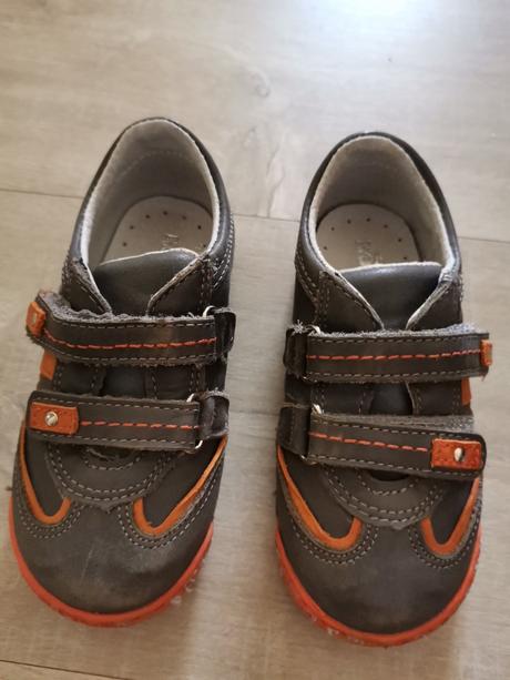 Poltopanky, kornecki,24