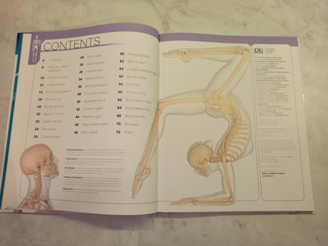 Robert winston - the skeleton, 