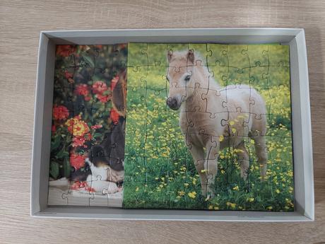 Dino puzzle zvieratká 3x55, 