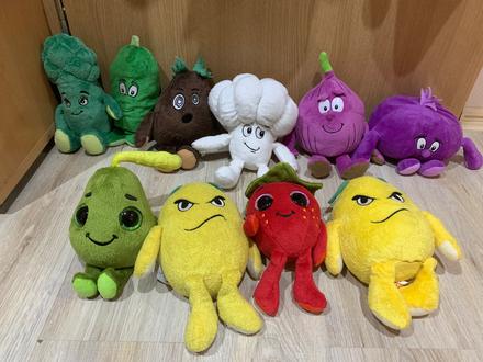 Plysaky ovocie zelenina,