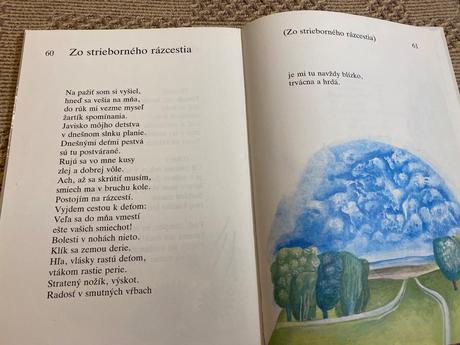 Šimonovič ján zo strieborného rázcestia,