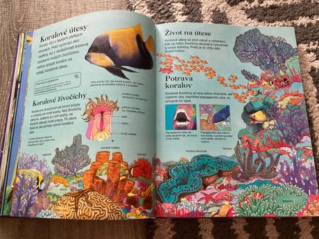 Detská encyklopédia (2004),