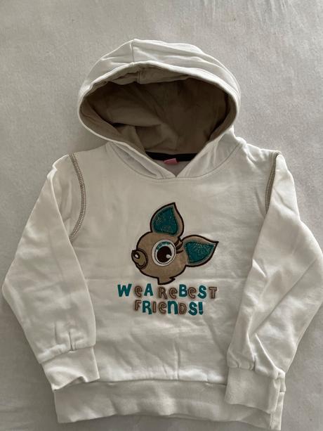 Mikina v. 110, dopodopo,110