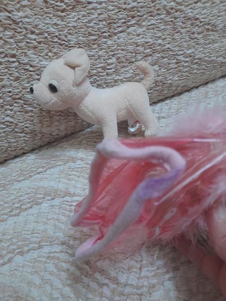 Chi chi love čivava,