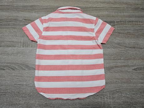 Kosela rebel, rebel,116