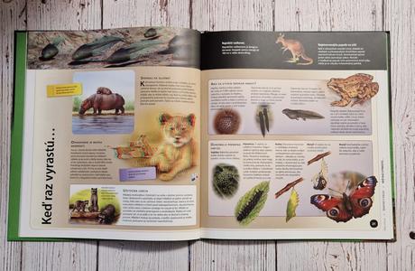 Enciklopedia s 3d obrazkami. "risa zvierat", 
