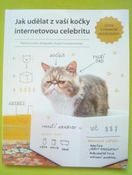 Ako urobiť z vašej mačky internetovú celebritu, 