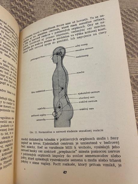 Stará retro kniha muž a žena intímne,