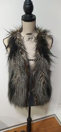 Chlpatá vesta, zara,s