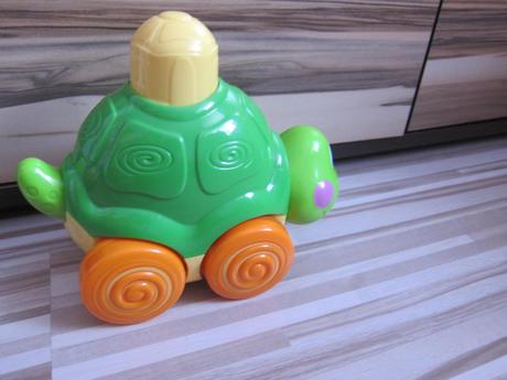 Chodiaca korytnačka zs., 