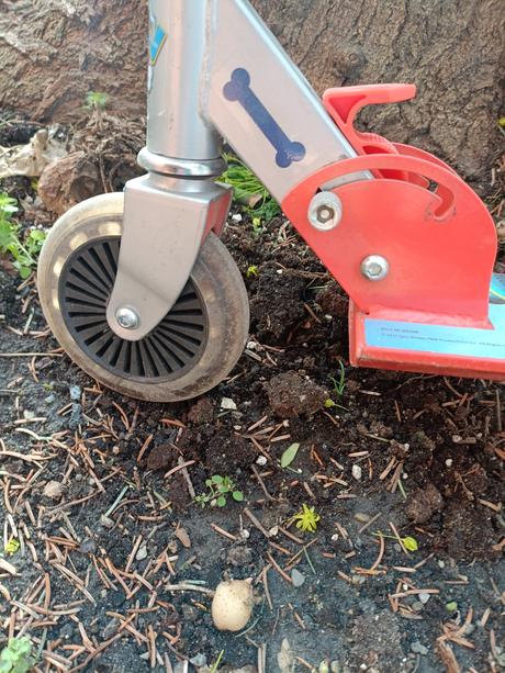 Detska kolobezka s motivom paw patrol, mondo