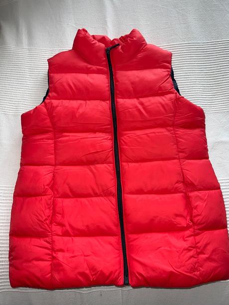 Vesta primigi, primigi,122