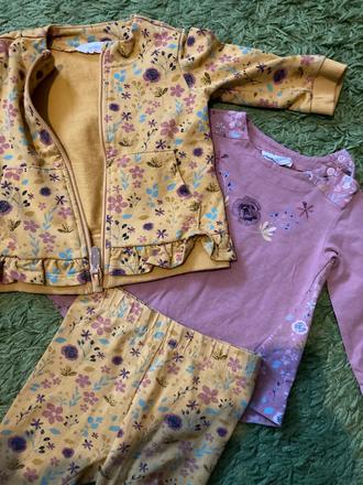 Coccodrillo súprava, coccodrillo,74