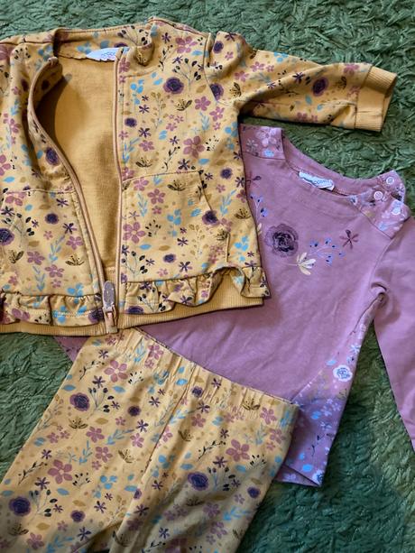 Coccodrillo súprava, coccodrillo,74