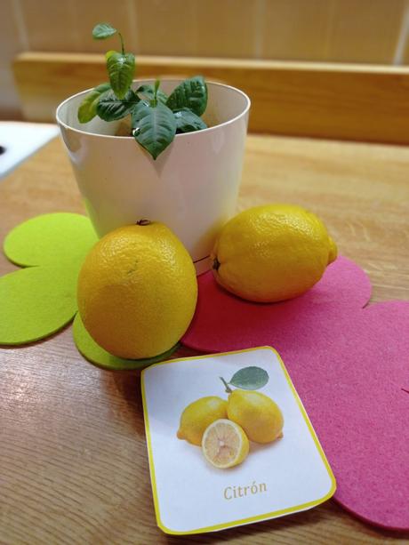 Pdf ovocie a zelenina,