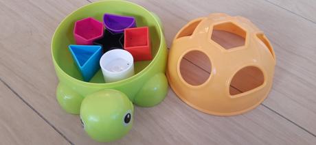 Vhadzovacka korytnacka,