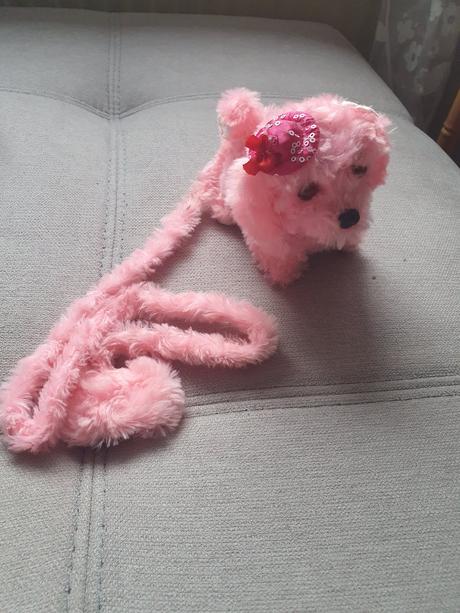 Predám psíka na vodítku - šteká, 