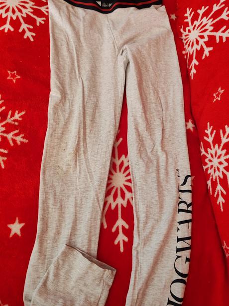 Sede leginy harry potter, 158