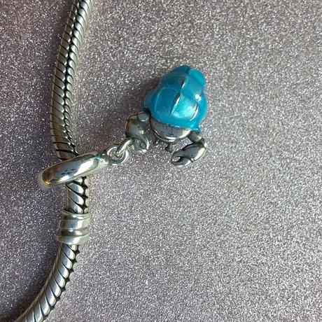 Krab pustovník modrý, 